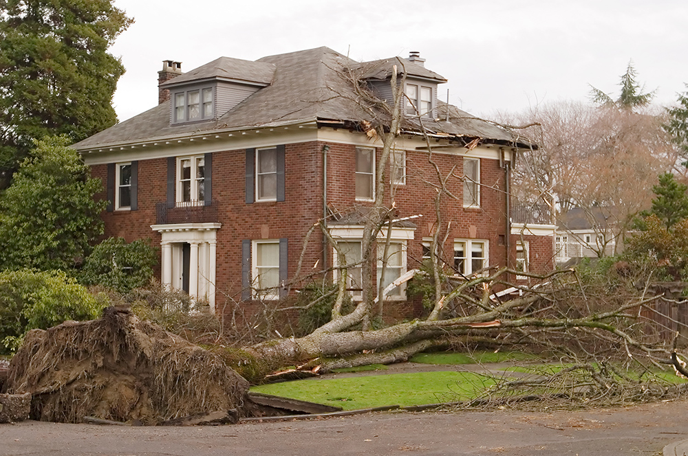 In the windstorm of December 2006, this Seattle house was damaged by a large 100 foot elm tree that was uprooted in the high winds. The root ball tore up the sidewalk in the foreground; tree branches were left scattered over the stately brick home.